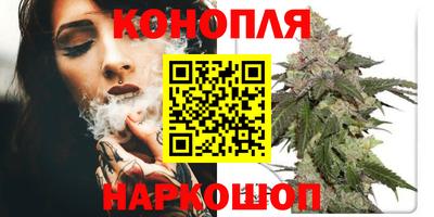 ешки Бийск