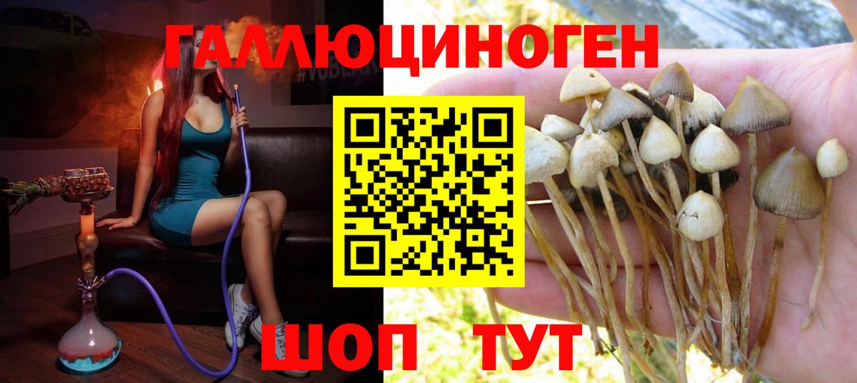 Псилоцибиновые грибы прущие грибы  Вход с VPN  Камышин 
